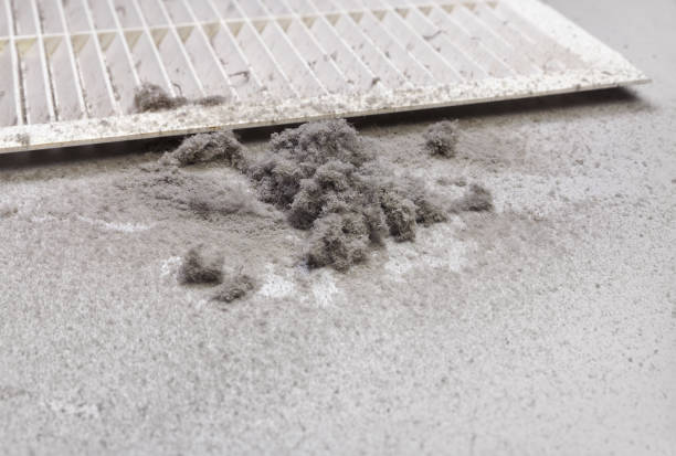 Best Air Vent Cleaning Services  in Bourbon, MO